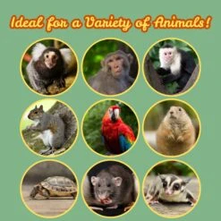 Monkey Biscuits -Nutrition Pet Shop 10 d953b42b 1365 4c00 9ae0 5d954fe7c610