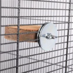 Circular Wood Perch 7 Circular Wood Perch -Nutrition Pet Shop 1T5A4581