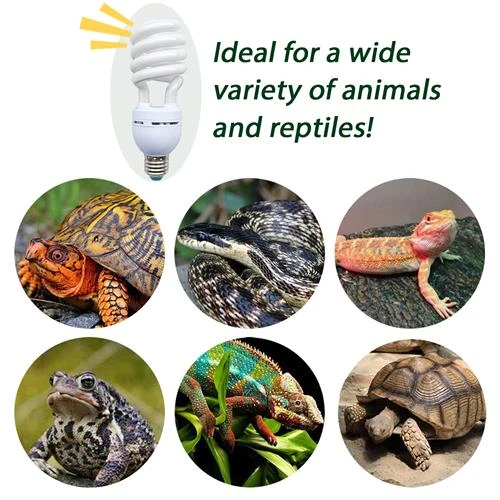 UVB Bulb 26 Watt 4 UVB Bulb 26 Watt - Image 4