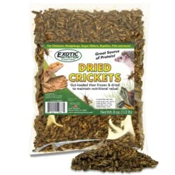 Dried Crickets 8 Oz. -Nutrition Pet Shop 2 96cc7d71 c94d 4de4 b2ed 9d3312fb0d66