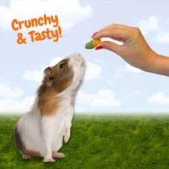 Crunchy Swirls 14 Crunchy Swirls -Nutrition Pet Shop 3 8a6e7b5e d73e 4f78 9baa 0e09bbeff7e2