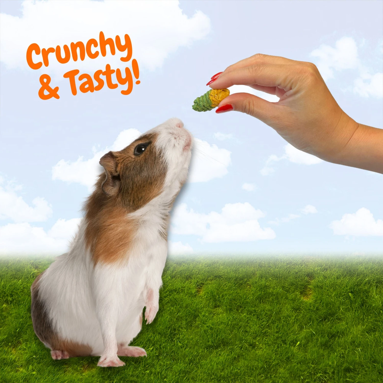 Crunchy Swirls 3 Crunchy Swirls - Image 3