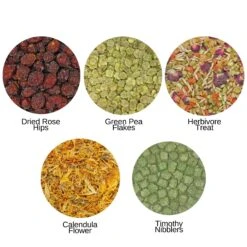 Chinchilla Treat Sampler -Nutrition Pet Shop 3 962a37fd b104 4264 859c c7c8a3a22a5a