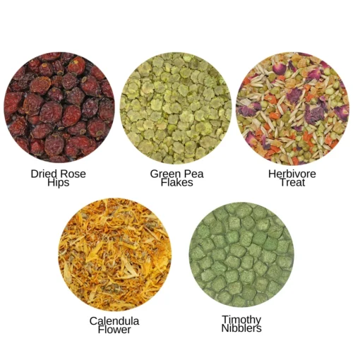 Chinchilla Treat Sampler 16 Chinchilla Treat Sampler -Nutrition Pet Shop 3 962a37fd b104 4264 859c c7c8a3a22a5a