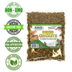Dried Crickets 8 Oz. -Nutrition Pet Shop 3 c451752a a3c2 4dc7 9c9d 6178341ca1d4