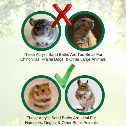 Acrylic Sand Bath 24 Acrylic Sand Bath -Nutrition Pet Shop 4 b5a3f3d0 1e44 4c91 9dd0 5e834a02bb7b