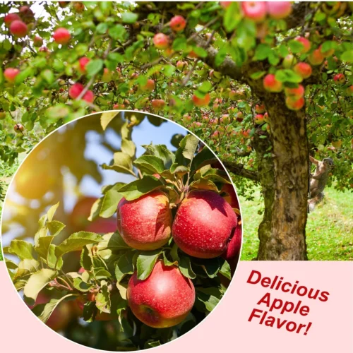 Premium Squirrel Blocks -Nutrition Pet Shop 5 b294cf9b 50aa 4773 89d8 aa4a615dcf89