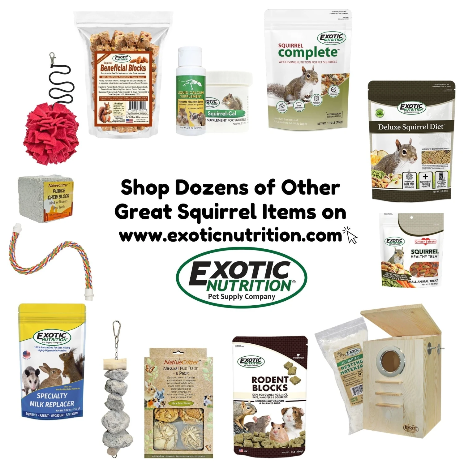 Premium Squirrel Blocks 9 Premium Squirrel Blocks - Image 9