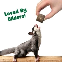 Berry Bites -Nutrition Pet Shop 7 29354bf0 a07d 4b31 9572 b4880298155b