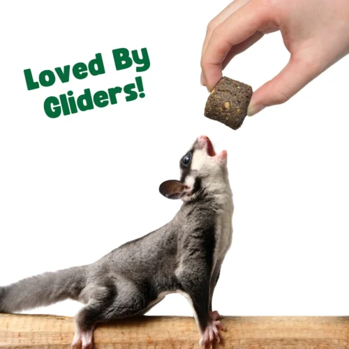 Berry Bites 9 Berry Bites -Nutrition Pet Shop 7 29354bf0 a07d 4b31 9572 b4880298155b