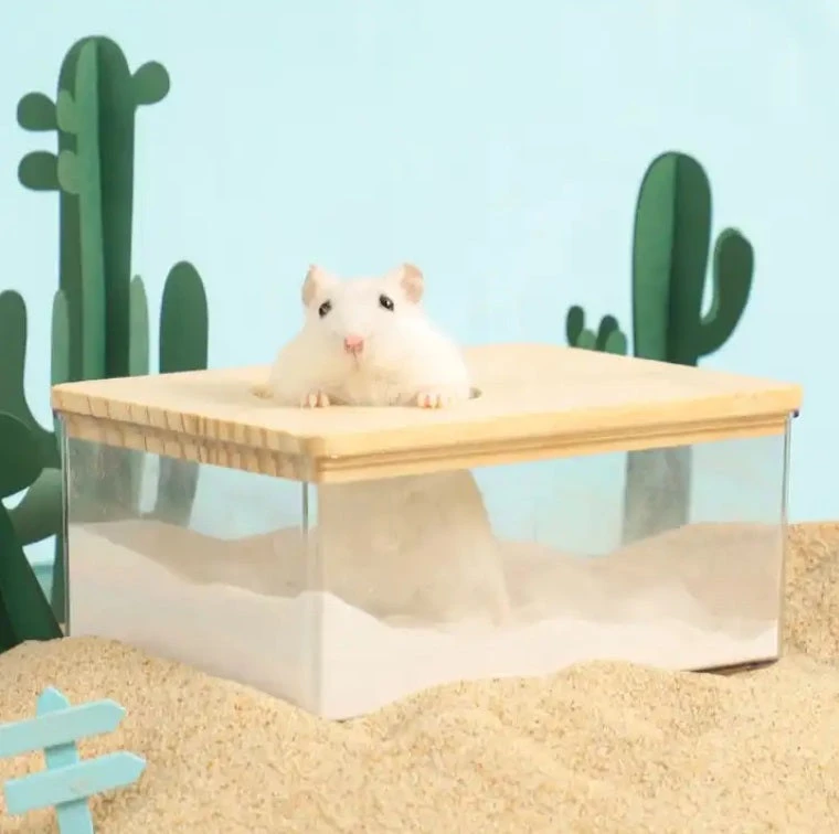 Acrylic Sand Bath 2 Acrylic Sand Bath - Image 2