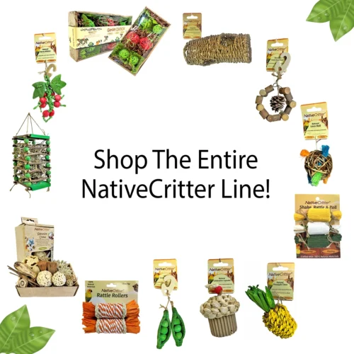 Chew Toy Bundle 23 Chew Toy Bundle -Nutrition Pet Shop AdditionalPhotoAd NativeCritterChews ForAll 1 4b5cdcb0 b4fd 4701 9f35 341e72e5afaf