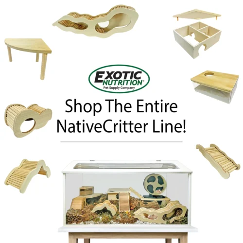 Chamber Box -Nutrition Pet Shop AdditionalPhotoAd NativeCritterWoodAccessories ForAll 1 9d18a791 56e9 4302 8562 3b1c6f3c3733