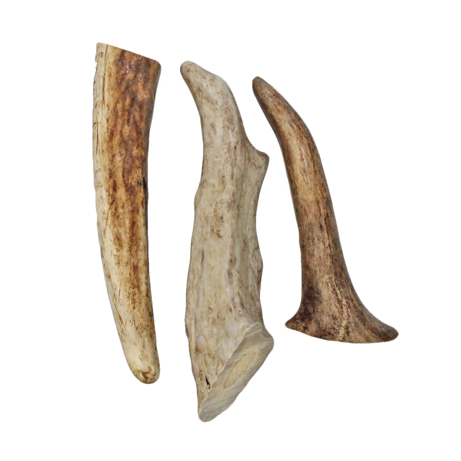 Antler Chews 8 Antler Chews - Image 8