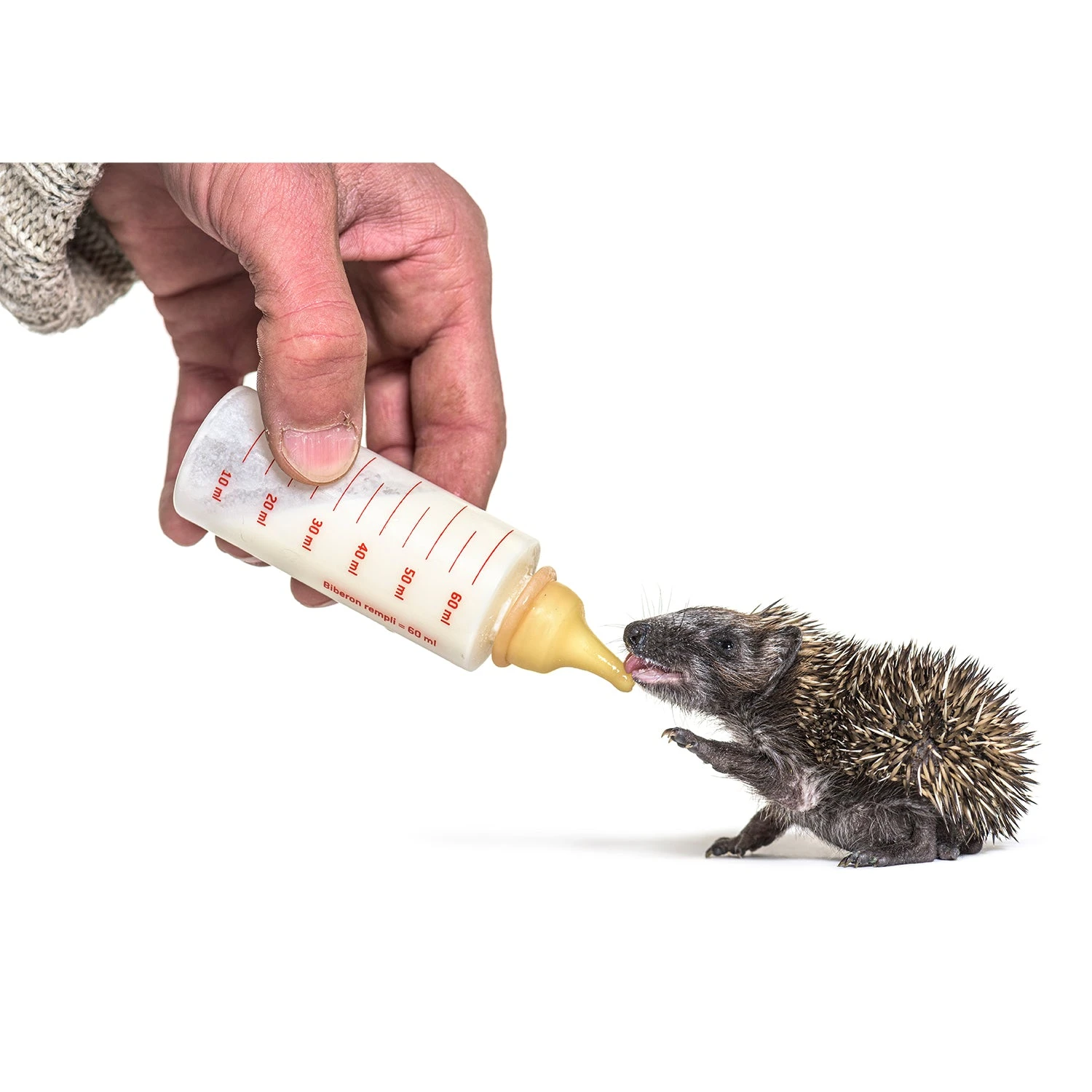 Specialty Milk Replacer 5 Specialty Milk Replacer - Image 5