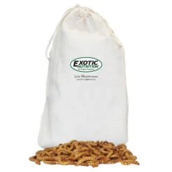 Giant Live Mealworms (1")