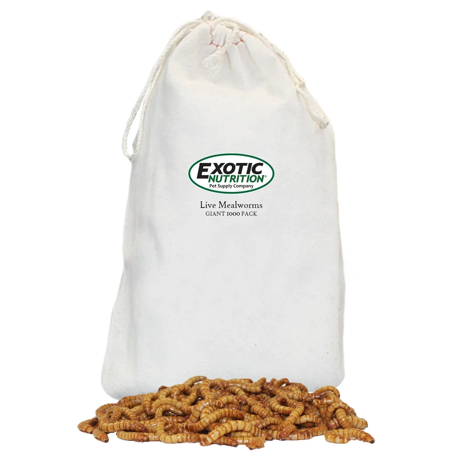 Giant Live Mealworms (1") 1 Giant Live Mealworms (1")