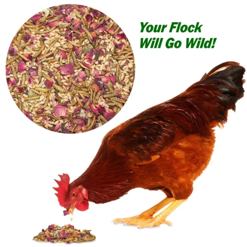 Bee-Tastic Chicken Treat Backyard Chicken Treat -Nutrition Pet Shop BeetasticAdditional1