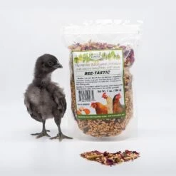 Bee-Tastic Chicken Treat Backyard Chicken Treat -Nutrition Pet Shop BeetasticWithChick1