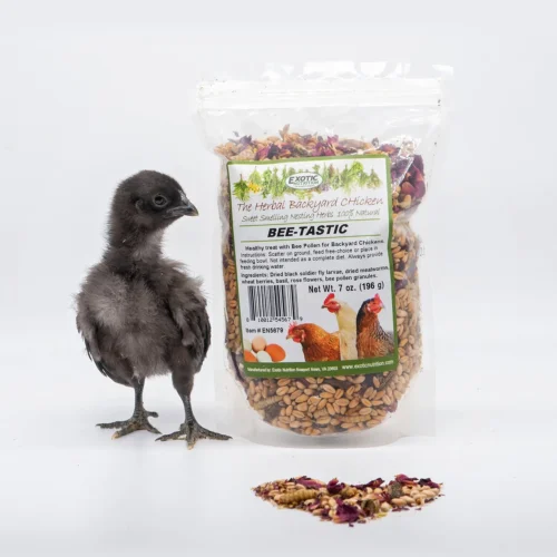 Bee-Tastic Chicken Treat Backyard Chicken Treat -Nutrition Pet Shop BeetasticWithChick1