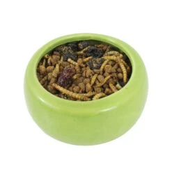 Berries & Bugs Sugar Glider Food & Hedgehog Food -Nutrition Pet Shop Berries Bugs food 1