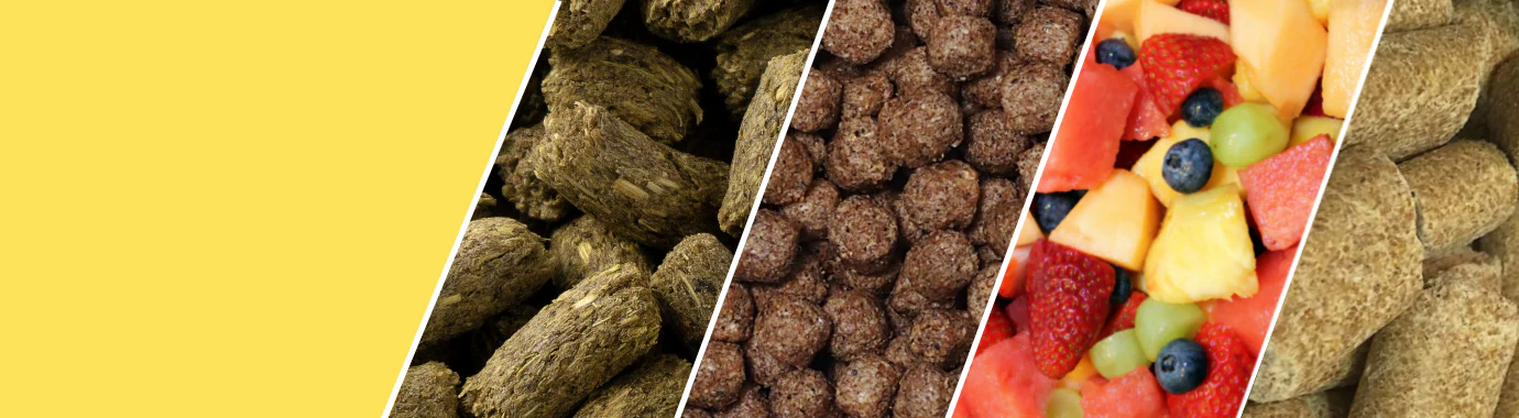 Front Page -Nutrition Pet Shop COLAGE OF FOODS2