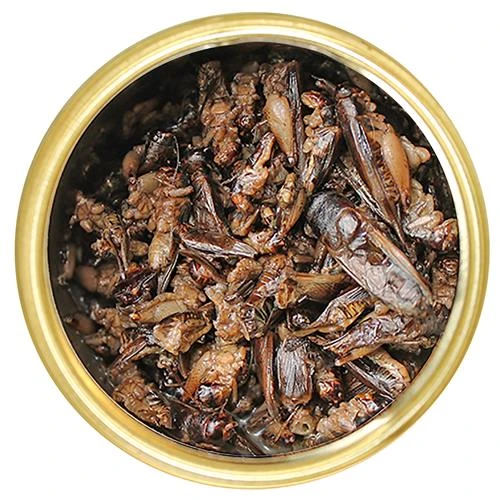 Canned Crickets 2 Canned Crickets - Image 2