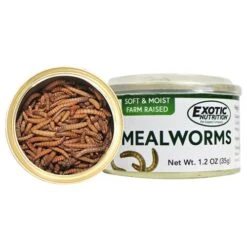 Hedgehog Treat Sampler -Nutrition Pet Shop Canned Mealworms New 2 3fa509f2 0f70 4db4 9e2a 13ba340f6ab3