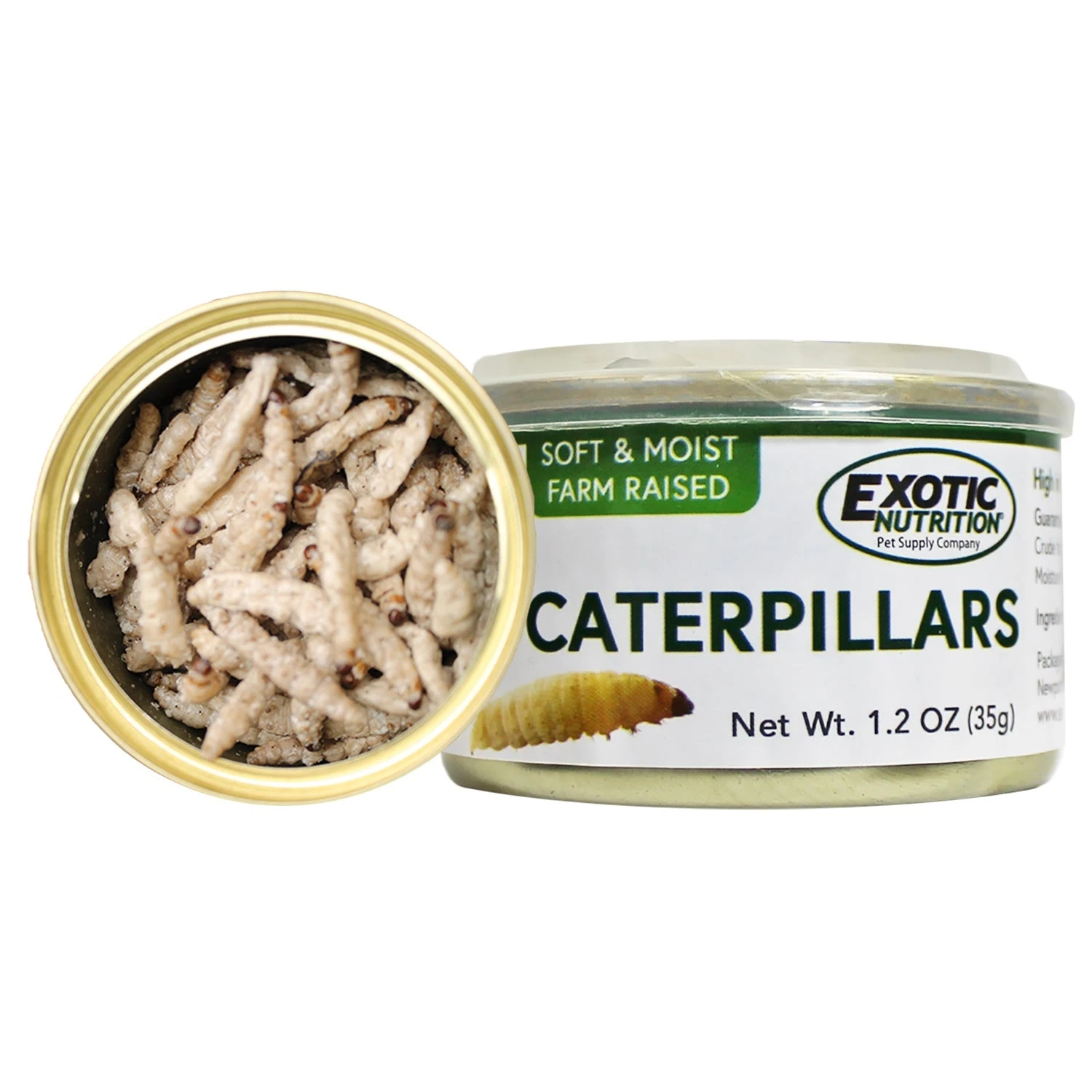 Canned Caterpillars 4 Canned Caterpillars - Image 4