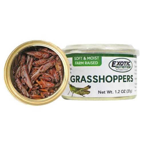 Canned Grasshoppers -Nutrition Pet Shop CannedGrasshoppersNew 2 d54a4a36 7117 481d 928b ae617fe6fde8