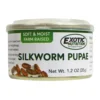 Canned Silkworm Pupae 14 Canned Silkworm Pupae -Nutrition Pet Shop CannedSilkwormNew 1 9106681f ae70 4be6 9e00 a00f9e55551b