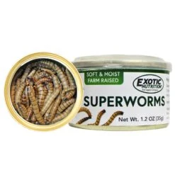 Canned Superworms 8 Canned Superworms -Nutrition Pet Shop CannedSuperwormsNew 2 2a4246a6 a2fe 43ea a95c a6688e3c0ac0