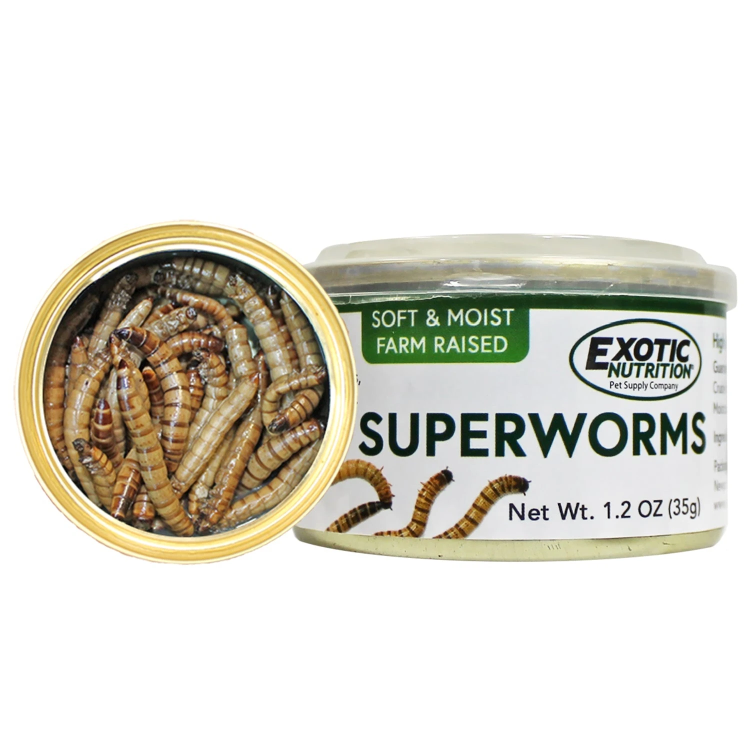 Canned Superworms 3 Canned Superworms - Image 3