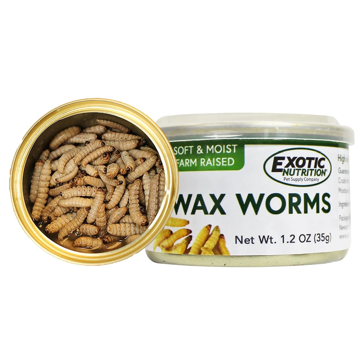 Canned Wax Worms 4 Canned Wax Worms - Image 4