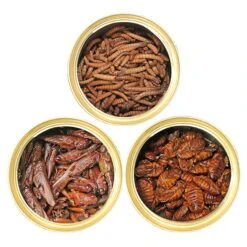 Front Page -Nutrition Pet Shop Canned Insect 3 Pack 3