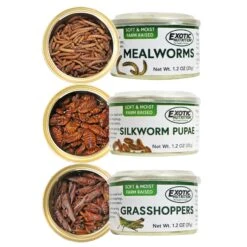Canned Insect Assortment