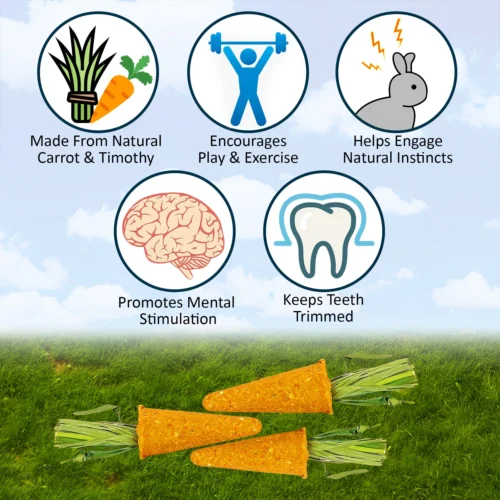 Carrot Minis 14 Carrot Minis -Nutrition Pet Shop CarrotMinisFeatures2