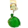 Cauliflower Surprise -Nutrition Pet Shop CauliflowerSurpriseFront1