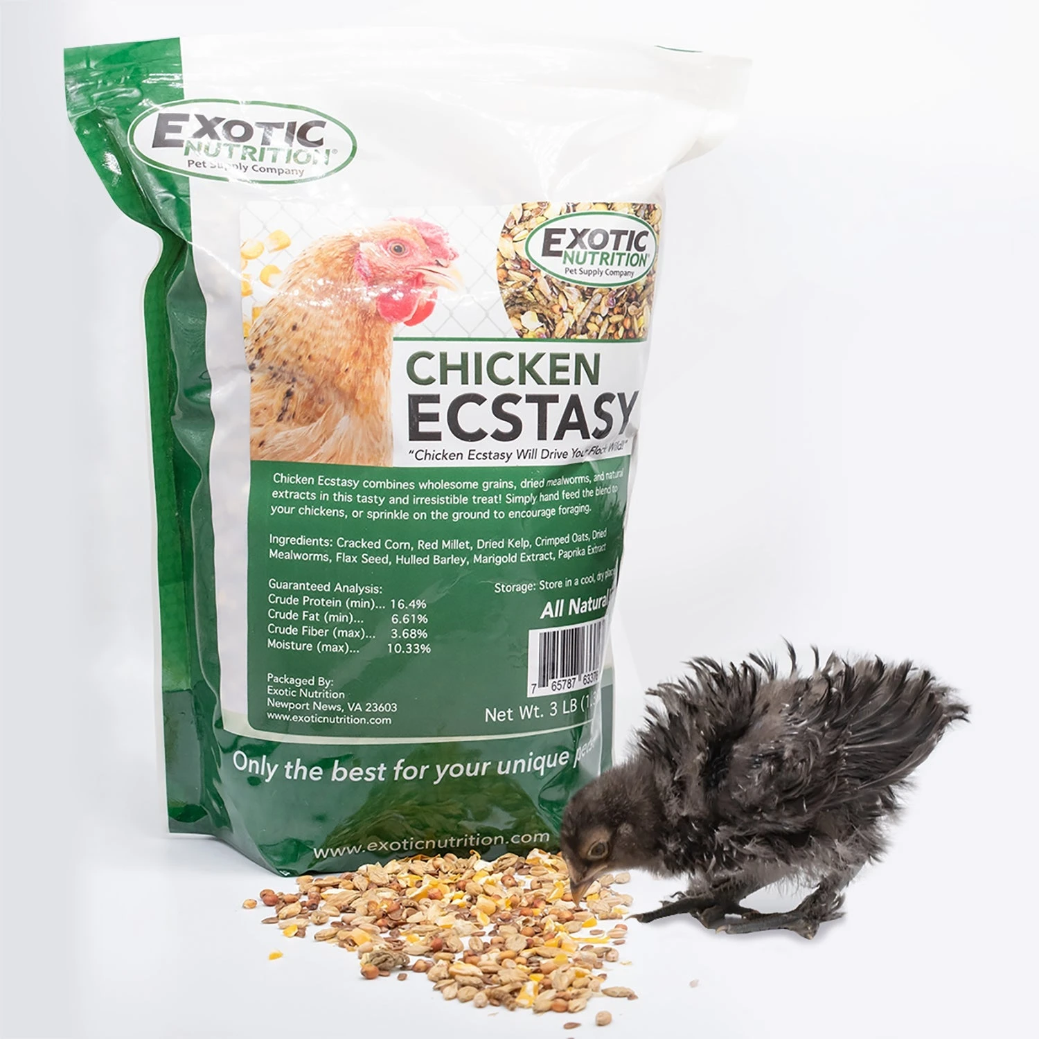 Chicken Ecstasy 3 Chicken Ecstasy - Image 3