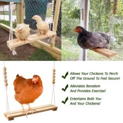 Chicken Swing -Nutrition Pet Shop ChickenSwingFeatures1