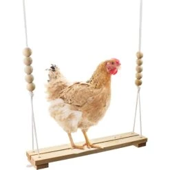 Chicken Swing