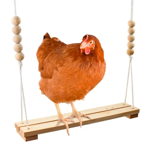 Chicken Swing 15 Chicken Swing -Nutrition Pet Shop ChickenSwingInUse3