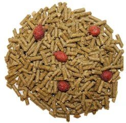 Chinchilla Food Starter Package -Nutrition Pet Shop ChinchillaDietFoodPicSpread