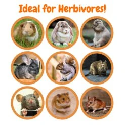 Crunchy Swirls 18 Crunchy Swirls -Nutrition Pet Shop Crunchy Swirls 1 23823fd1 e755 42ce a3b9 d10c73e85a58