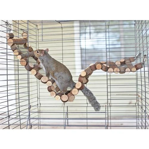 Woodland Accessory Bundle 4 Woodland Accessory Bundle - Image 4