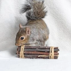 Chew Assortment 32 Chew Assortment -Nutrition Pet Shop CustomerPhoto AppleSticks 1 1 8a22001c 2c14 42ec ab95 3eb51b92f021