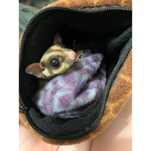 Bonding Scarf -Nutrition Pet Shop CustomerPhoto BondingScarf 1