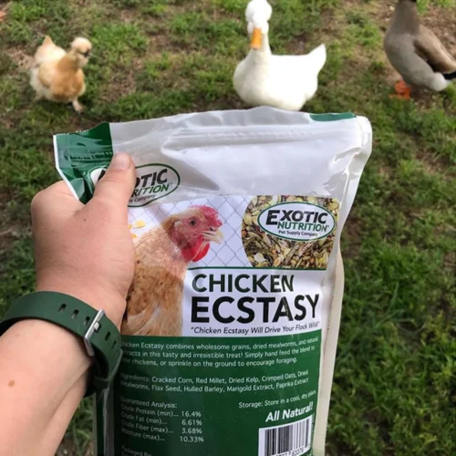 Chicken Ecstasy 10 Chicken Ecstasy -Nutrition Pet Shop CustomerPhoto ChickenEcstacy 1 21b1e63a 5daa 492d 8479 81fd840ad85b