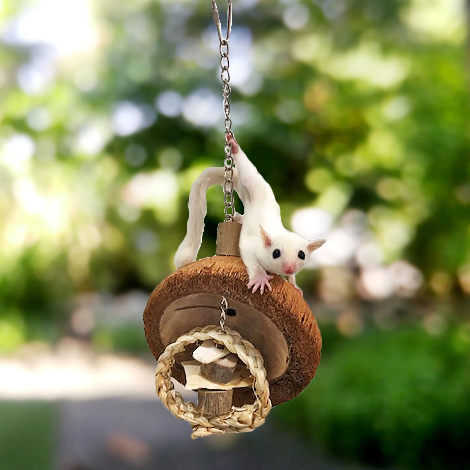 Coco Cuttle 6 Coco Cuttle - Image 6