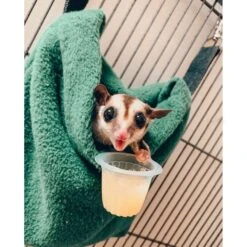 Forest Pouch Set -Nutrition Pet Shop CustomerPhoto DeluxeNestPouch 2 ab180087 7aad 432b a7d4 4dd0e5111f86